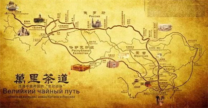 发现美味，尽在普洱收茶平台